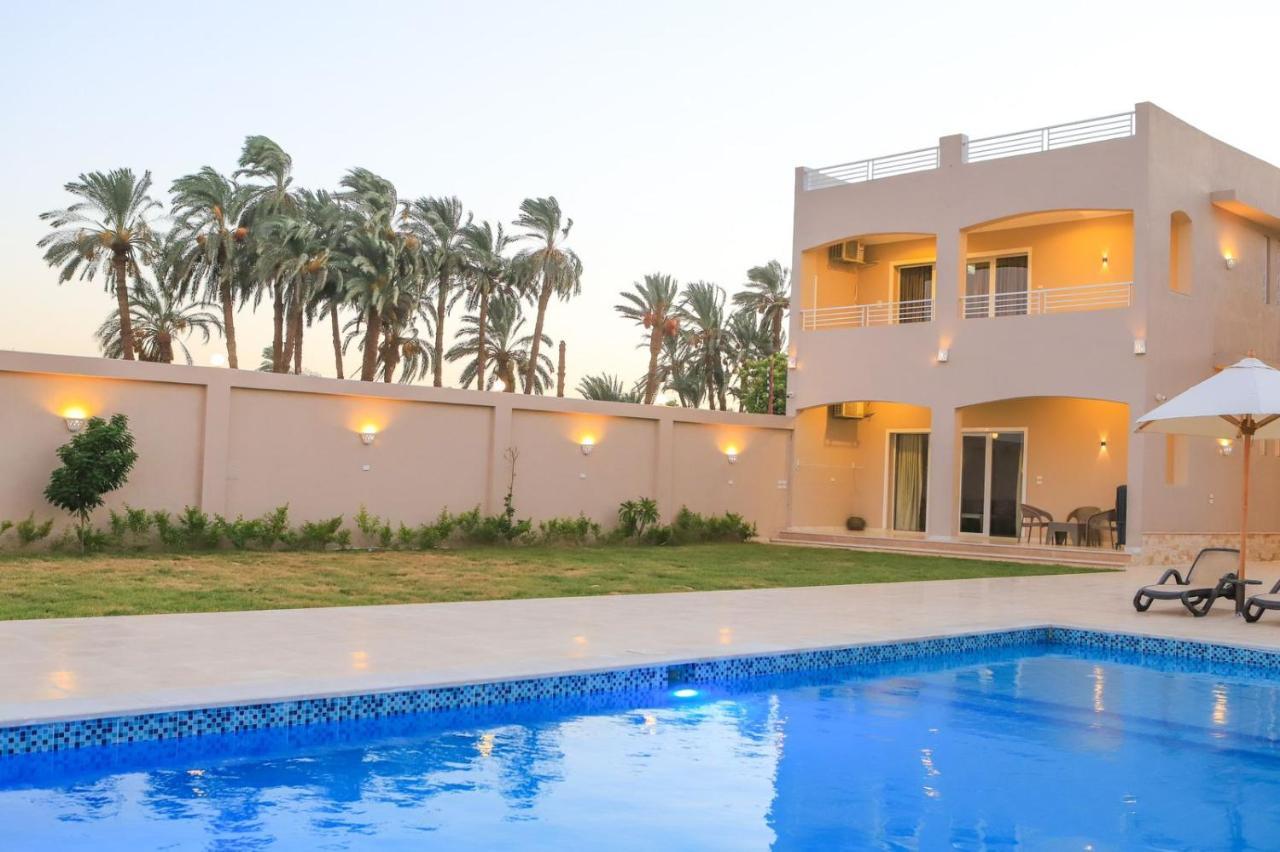 Royal Nile Villas - Pool View Apartment 2 Luxor Ngoại thất bức ảnh